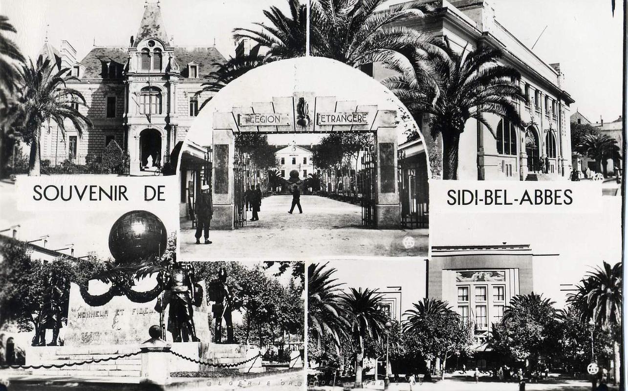 Sidi bel abbes 536- Souvenir COLLECTION DES AMIS DE ND DE SANTA CRUZ.jpg